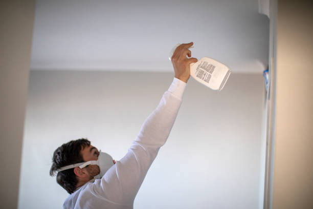 Best Preventive Mold Services in Mattawan, MI